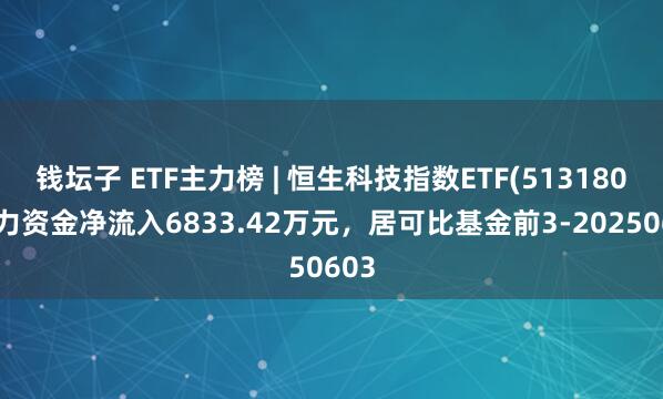 钱坛子 ETF主力榜 | 恒生科技指数ETF(513180)主力资金净流入6833.42万元，居可比基金前3-20250603