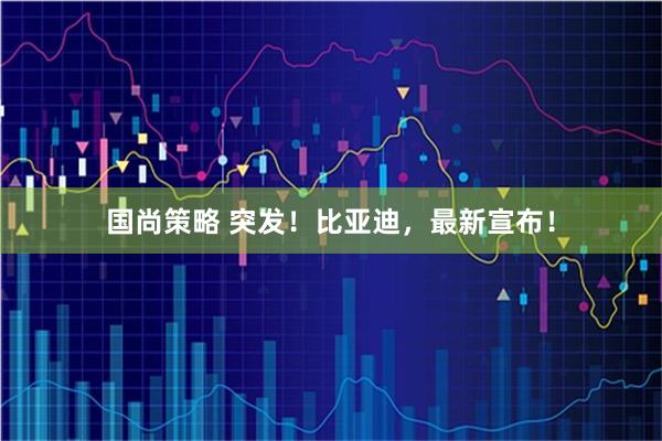 国尚策略 突发！比亚迪，最新宣布！