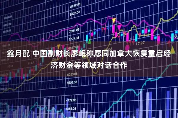 鑫月配 中国副财长廖岷称愿同加拿大恢复重启经济财金等领域对话合作