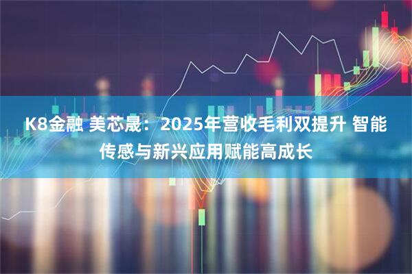 K8金融 美芯晟：2025年营收毛利双提升 智能传感与新兴应用赋能高成长