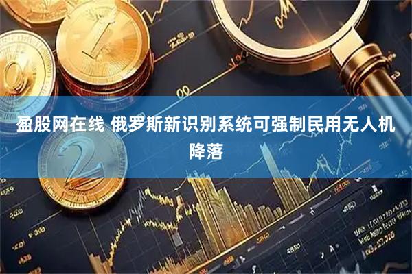 盈股网在线 俄罗斯新识别系统可强制民用无人机降落